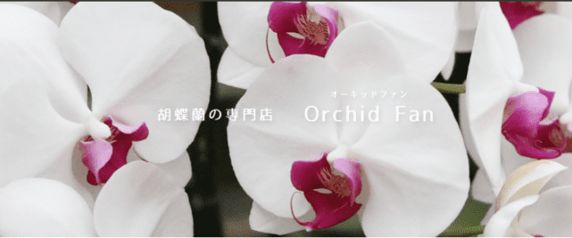 Orchid_fan